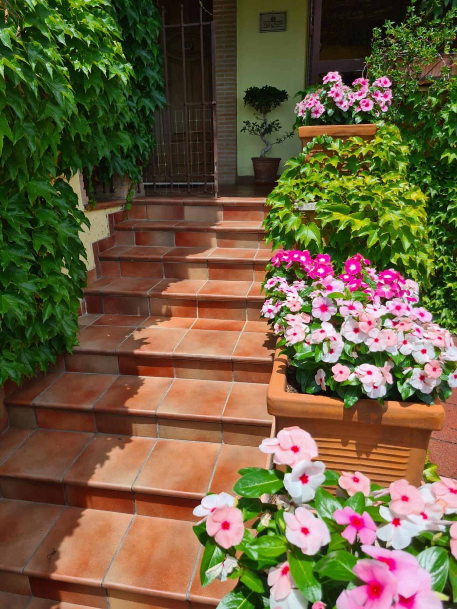 Villa Olga B&B Formia Bagian luar foto