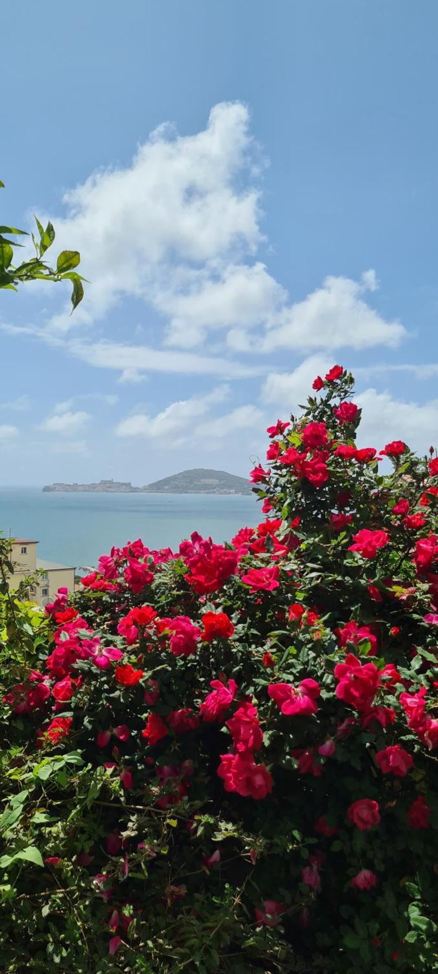 Villa Olga B&B Formia Bagian luar foto