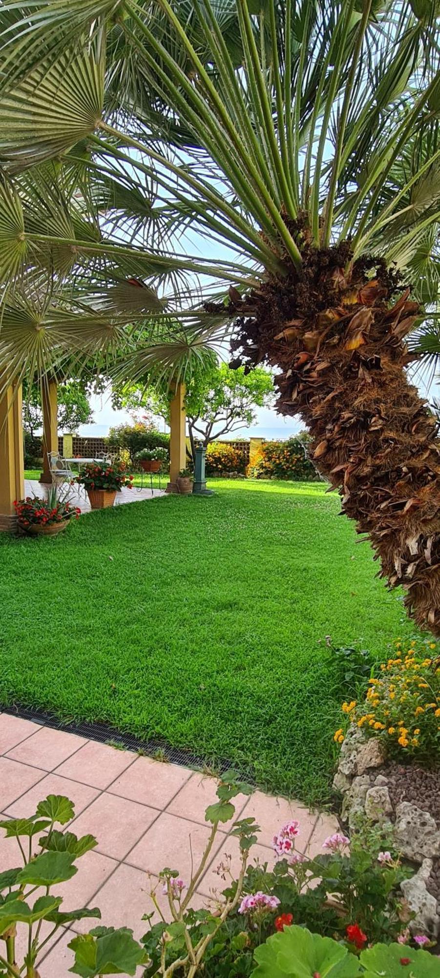 Villa Olga B&B Formia Bagian luar foto