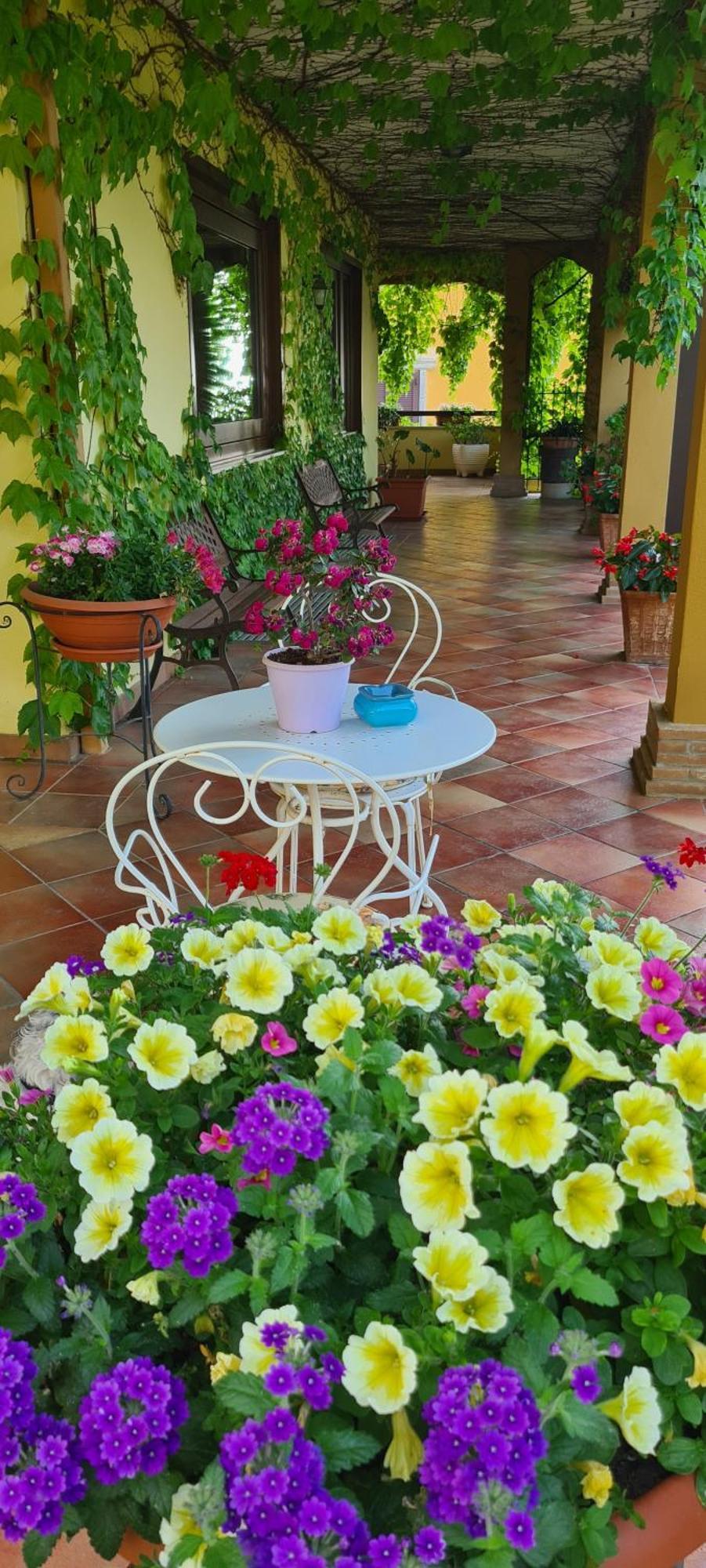 Villa Olga B&B Formia Bagian luar foto