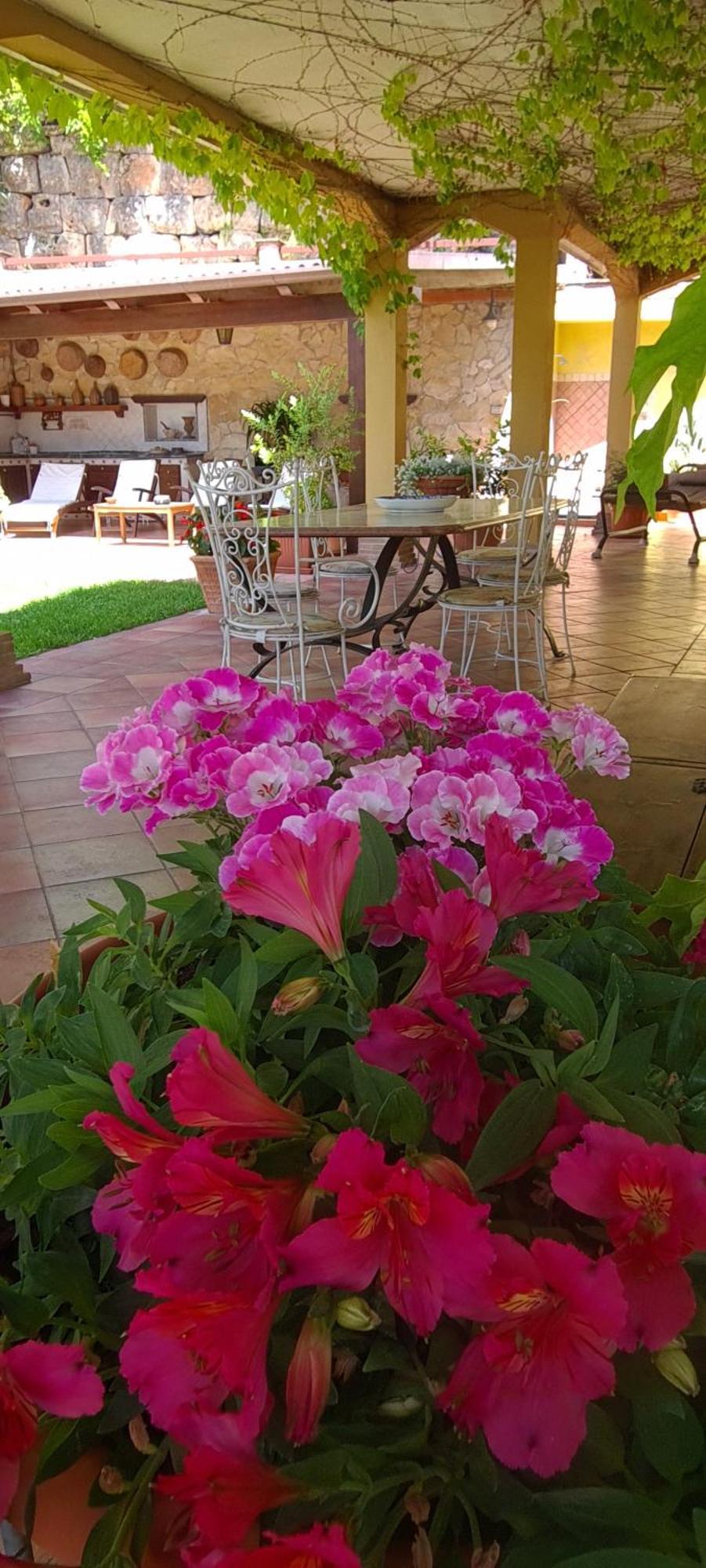 Villa Olga B&B Formia Bagian luar foto